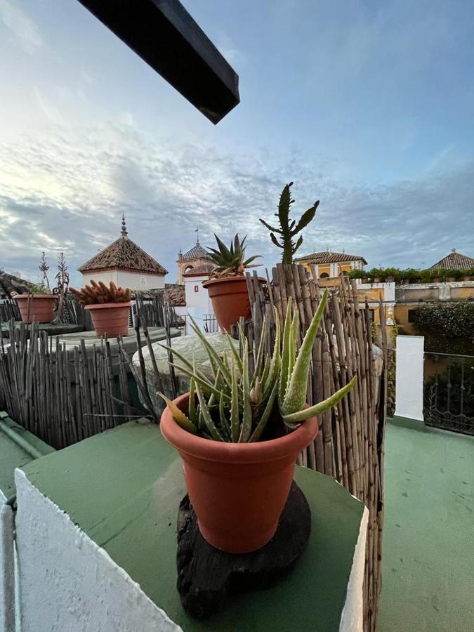 Bienvenido Maison d'hôtes