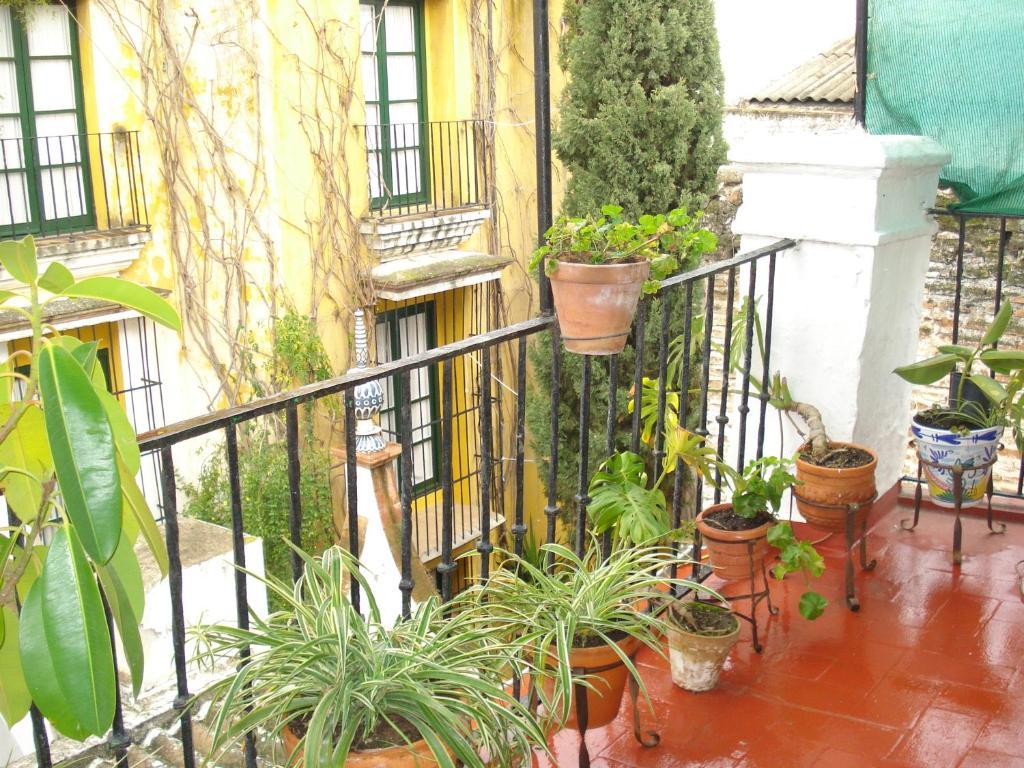 Bienvenido Maison d'hôtes